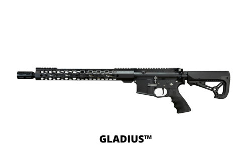 Gladius Rifle